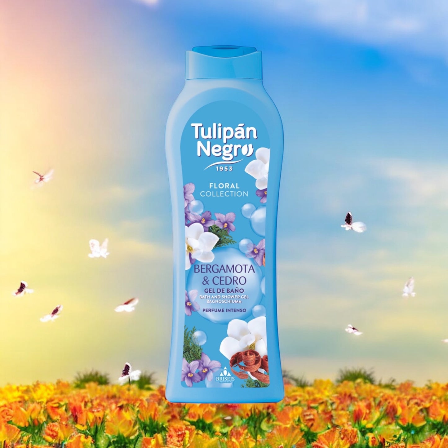 TULIPAN NEGRO NOUVELLE COLLECTION ( PLUSIEUR SENTEUR )