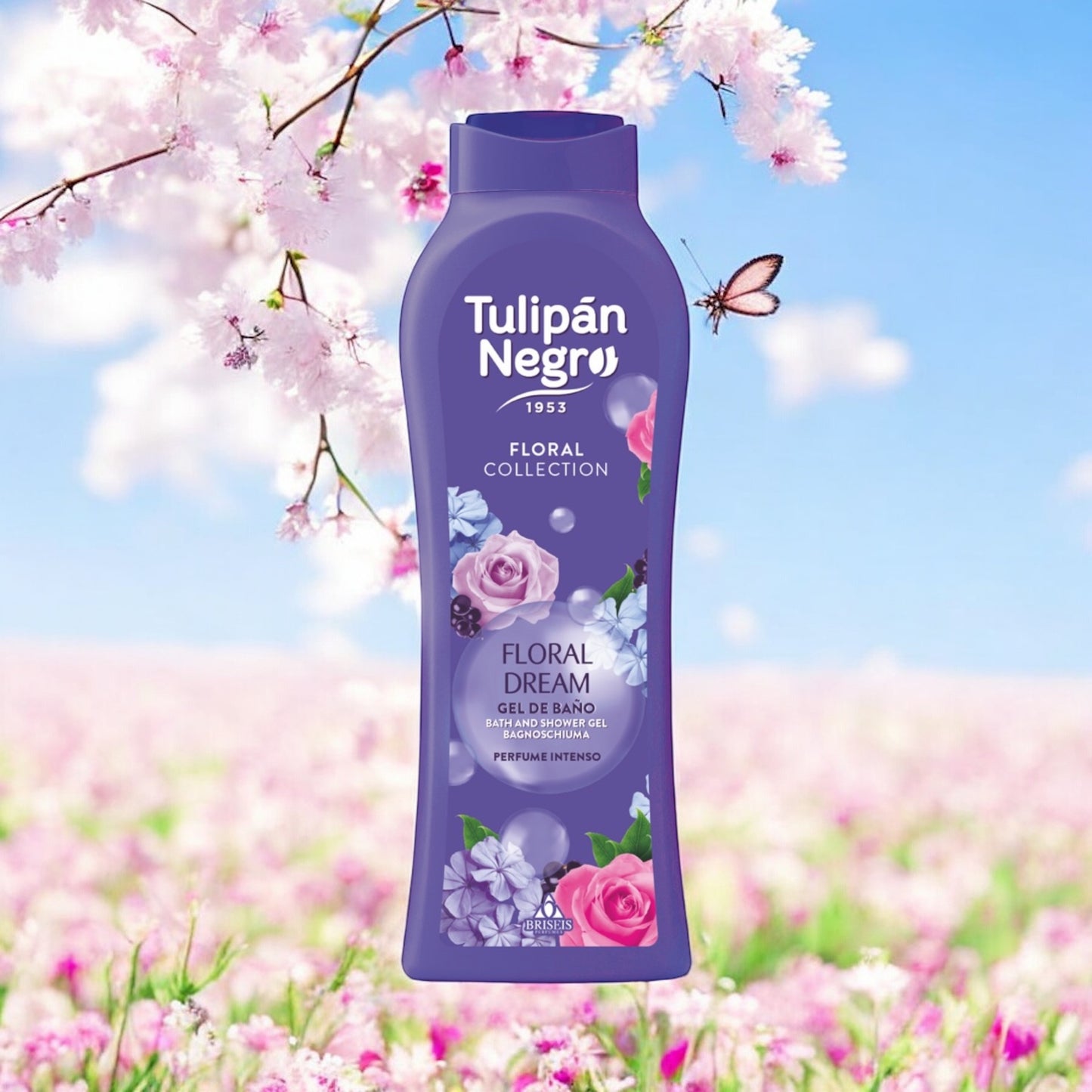 TULIPAN NEGRO NOUVELLE COLLECTION ( PLUSIEUR SENTEUR )