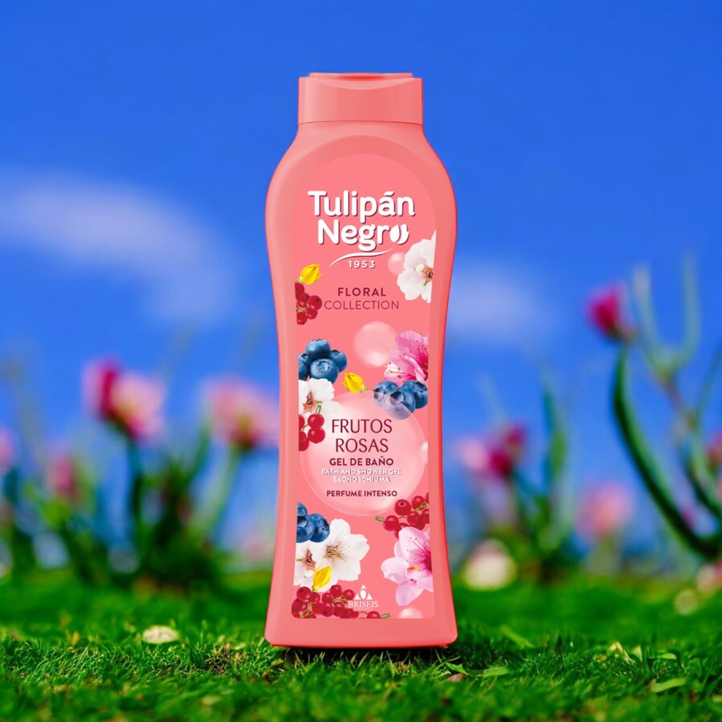 TULIPAN NEGRO NOUVELLE COLLECTION ( PLUSIEUR SENTEUR )
