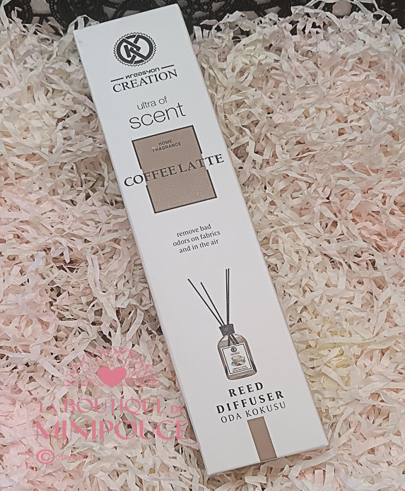 MIKADO KREASYON 50ML ( PLUSIEUR SENTEUR )
