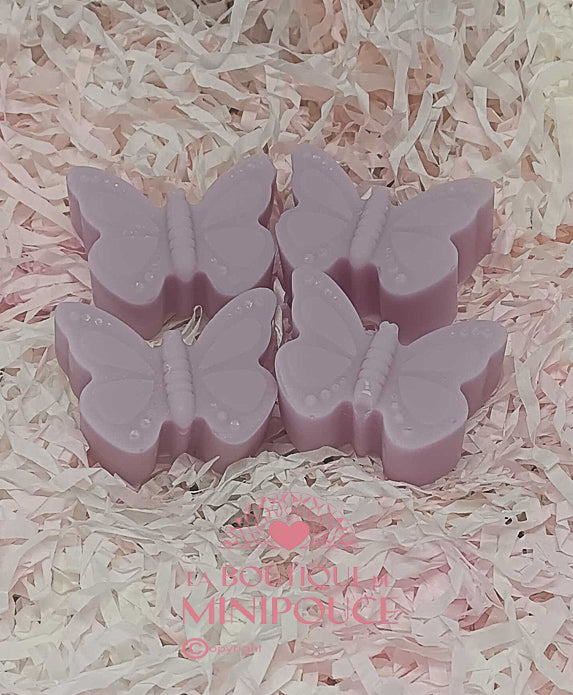 FONDANTS LA BOUTIQUE DE MINIPOUCE