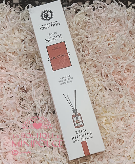 MIKADO KREASYON 50ML ( PLUSIEUR SENTEUR )