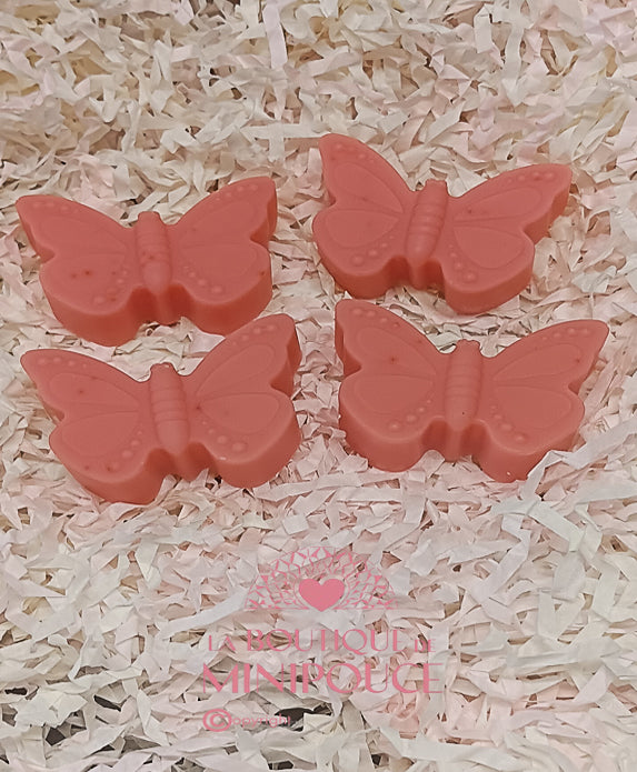 FONDANTS LA BOUTIQUE DE MINIPOUCE