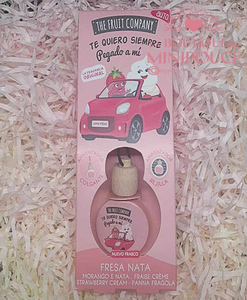 PARFUM D'AMBIANCE VOITURE ( PLUSIEUR SENTEUR )