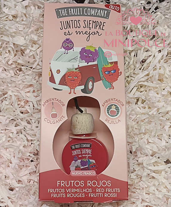 PARFUM D'AMBIANCE VOITURE ( PLUSIEUR SENTEUR )