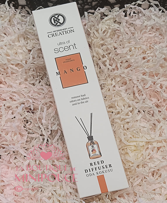 MIKADO KREASYON 50ML ( PLUSIEUR SENTEUR )