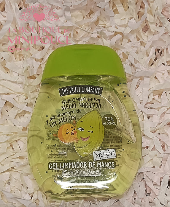 GEL MAINS THE FRUIT COMPANY 45ML ( PLUSIEUR SENTEUR )