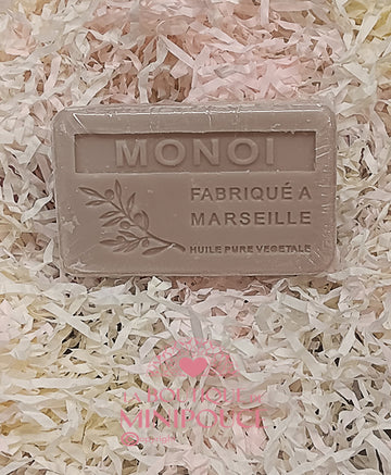 SAVONS 100G ( PLUSIEUR SENTEUR )