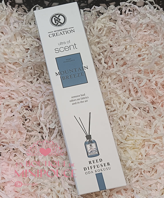 MIKADO KREASYON 50ML ( PLUSIEUR SENTEUR )