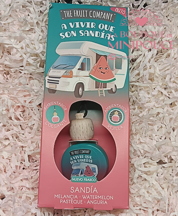 PARFUM D'AMBIANCE VOITURE ( PLUSIEUR SENTEUR )