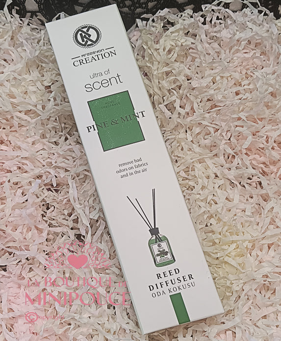 MIKADO KREASYON 50ML ( PLUSIEUR SENTEUR )