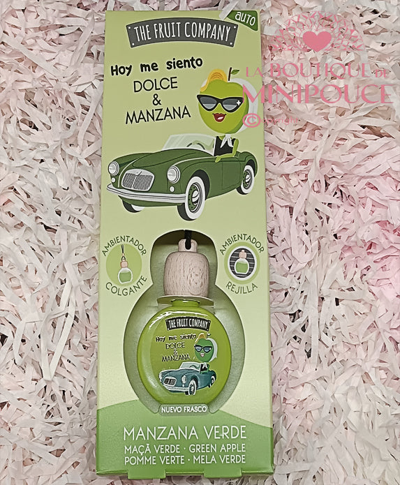 PARFUM D'AMBIANCE VOITURE ( PLUSIEUR SENTEUR )