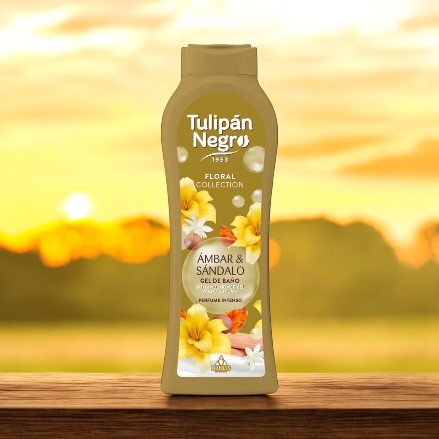 TULIPAN NEGRO NOUVELLE COLLECTION ( PLUSIEUR SENTEUR )