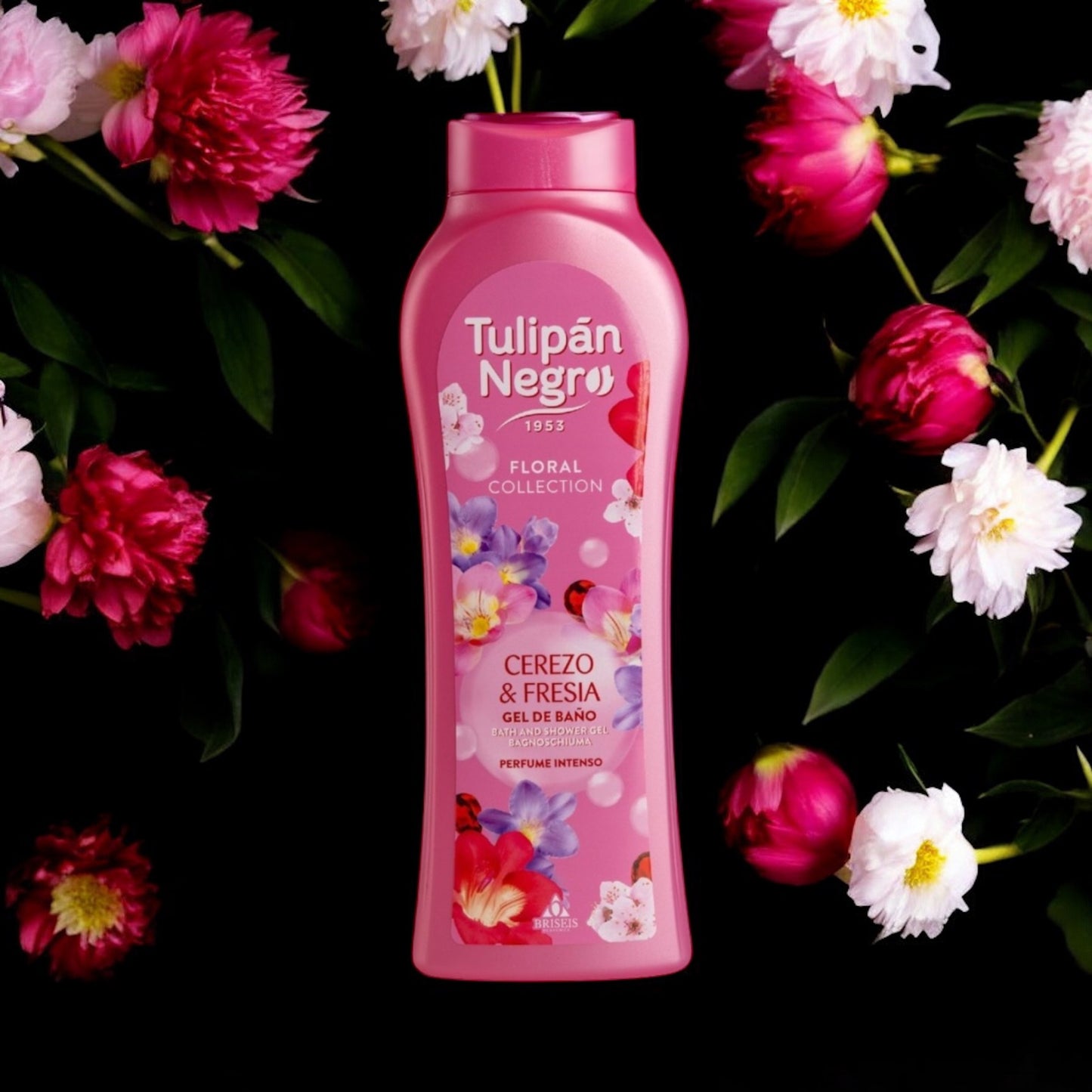 TULIPAN NEGRO NOUVELLE COLLECTION ( PLUSIEUR SENTEUR )