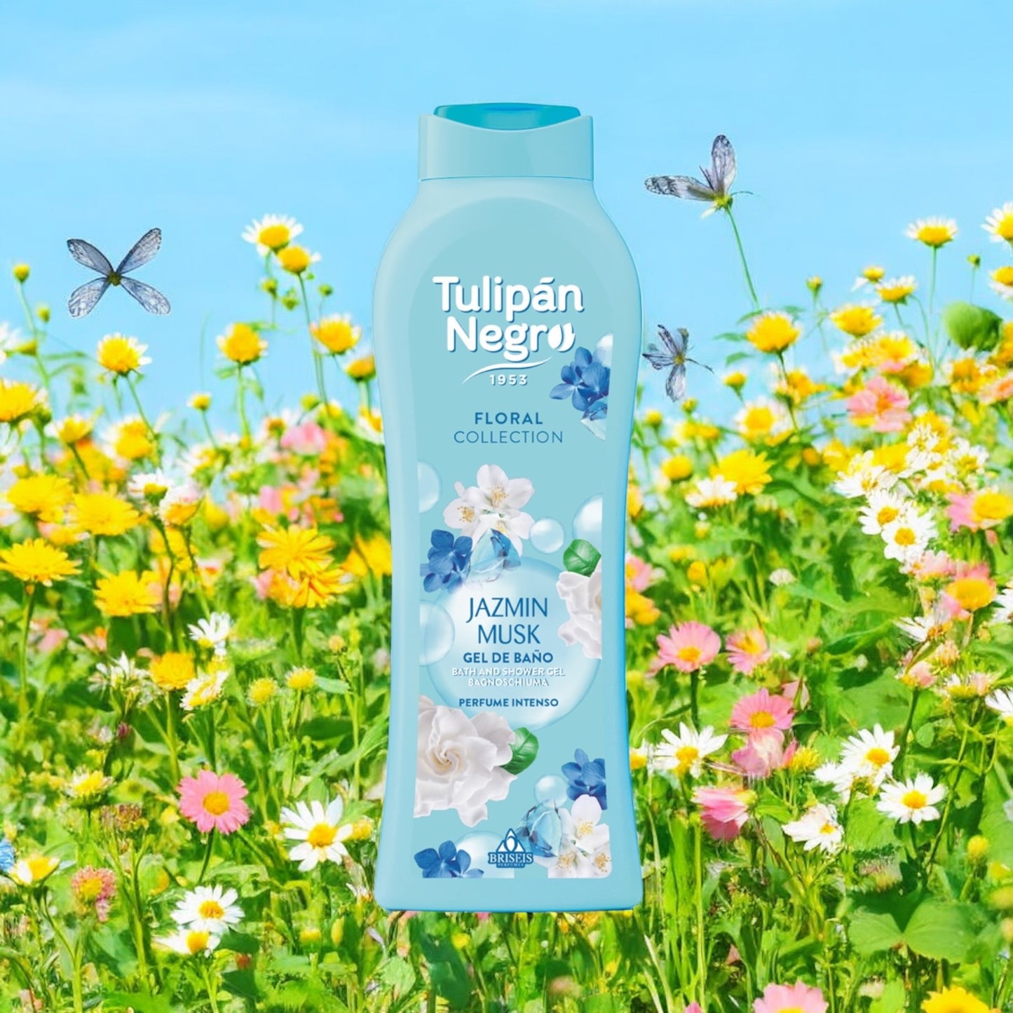 TULIPAN NEGRO NOUVELLE COLLECTION ( PLUSIEUR SENTEUR )