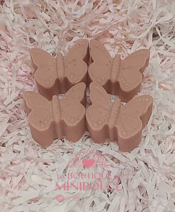 FONDANTS LA BOUTIQUE DE MINIPOUCE