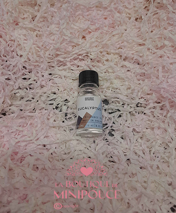Huile parfumée ( plusieur senteur )