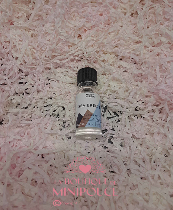 Huile parfumée ( plusieur senteur )