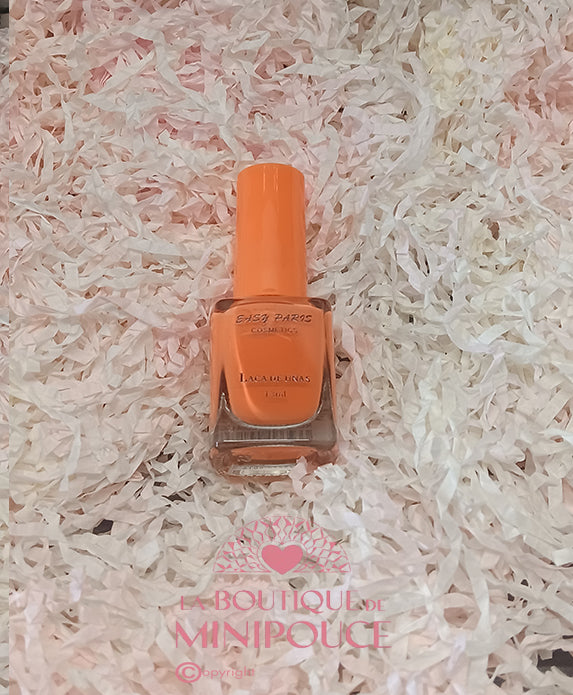 VERNIS À ONGLES 6 COULEURS