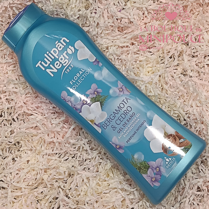 TULIPAN NEGRO NOUVELLE COLLECTION ( PLUSIEUR SENTEUR )