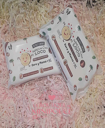 LINGETTE DESINFECTANTES ( PLUSIEUR SENTEUR )