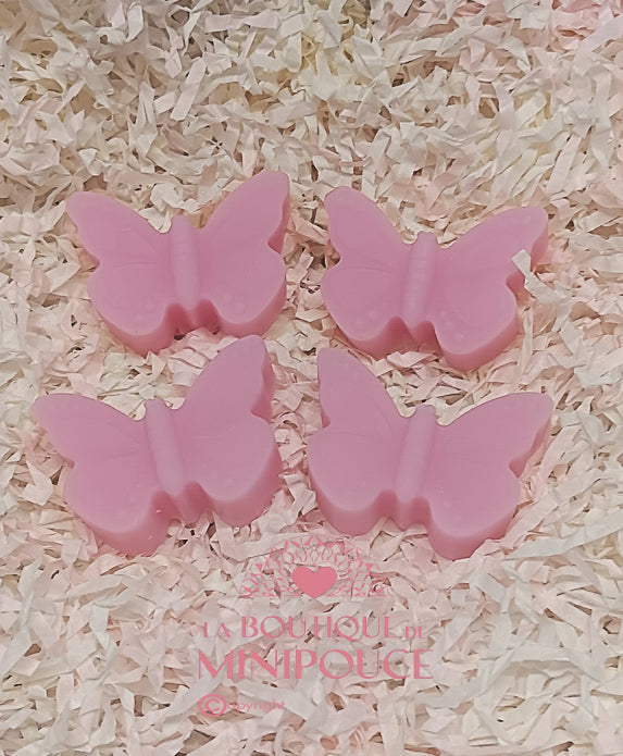 FONDANTS LA BOUTIQUE DE MINIPOUCE