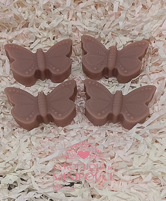 FONDANTS LA BOUTIQUE DE MINIPOUCE